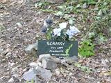 Grave